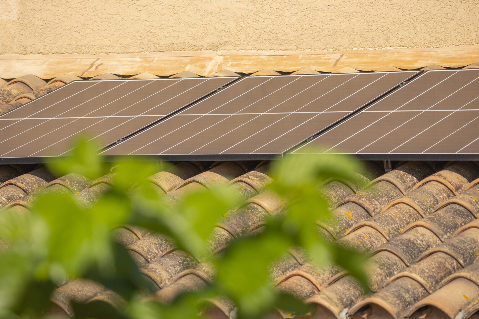 louez une toiture edf pour vos projets photovoltaïques et profitez d'une énergie renouvelable à moindre coût. découvrez nos offres adaptées à vos besoins et commencez à générer des économies tout en respectant l'environnement.