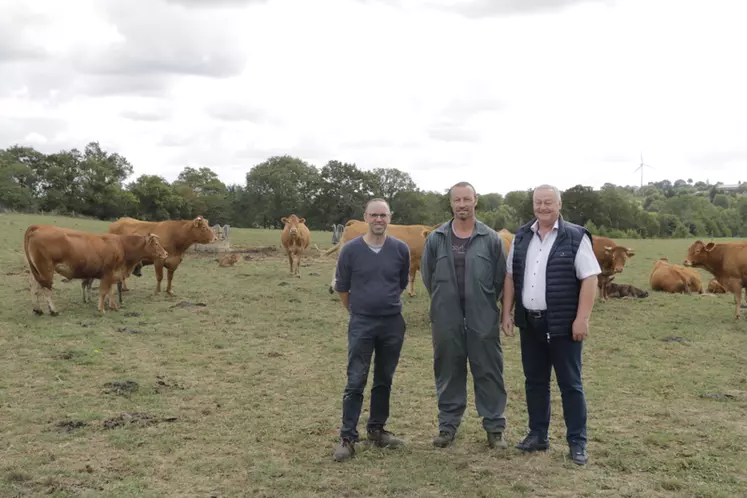 découvrez notre maison d'éleveur, un espace chaleureux et accueillant dédié à l'élevage de qualité. profitez de nos conseils d'experts et de notre passion pour les animaux dans un cadre idéal pour leur bien-être.