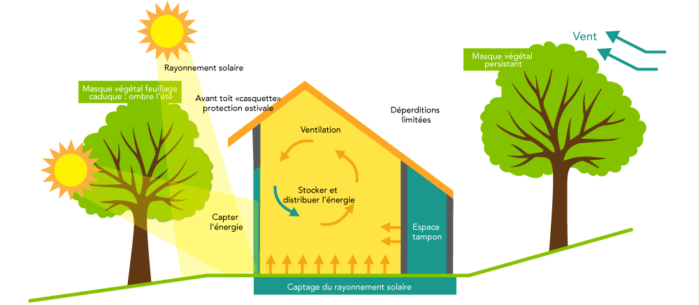 découvrez comment une maison énergie positive transforme votre habitat en un lieu éco-responsable et autosuffisant. appropriez-vous les solutions innovantes pour réduire votre empreinte carbone tout en garantissant votre confort au quotidien.
