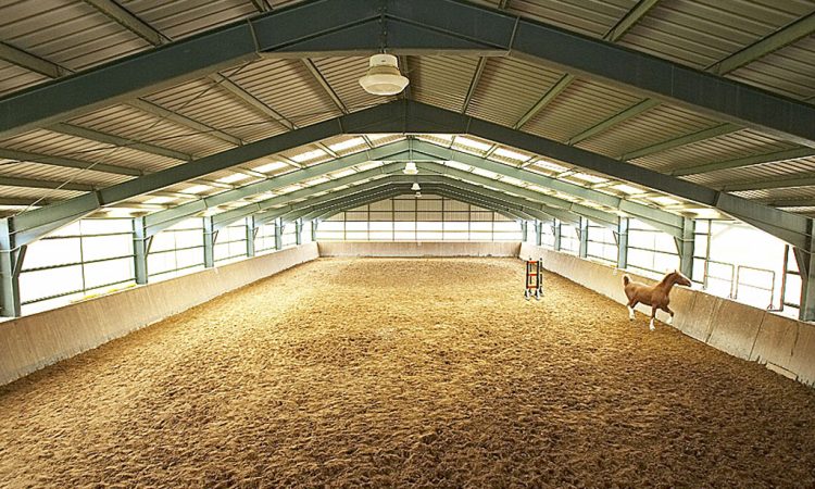 découvrez notre manège équestre gratuit, un espace dédié aux passionnés de chevaux. profitez d'initiations, d'ateliers et de balades à cheval sans aucun frais. vivez une expérience unique en pleine nature et partagez votre amour des équidés dans une ambiance conviviale.