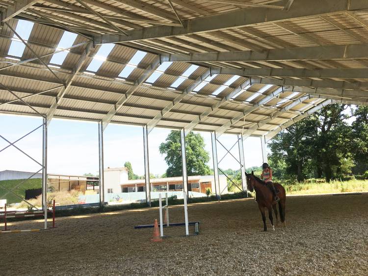 découvrez notre manège équestre gratuit, un espace dédié aux passionnés de chevaux où vous pourrez apprendre, pratiquer et partager votre amour des équidés sans frais. rejoignez-nous pour des activités ludiques et enrichissantes au cœur de la nature.
