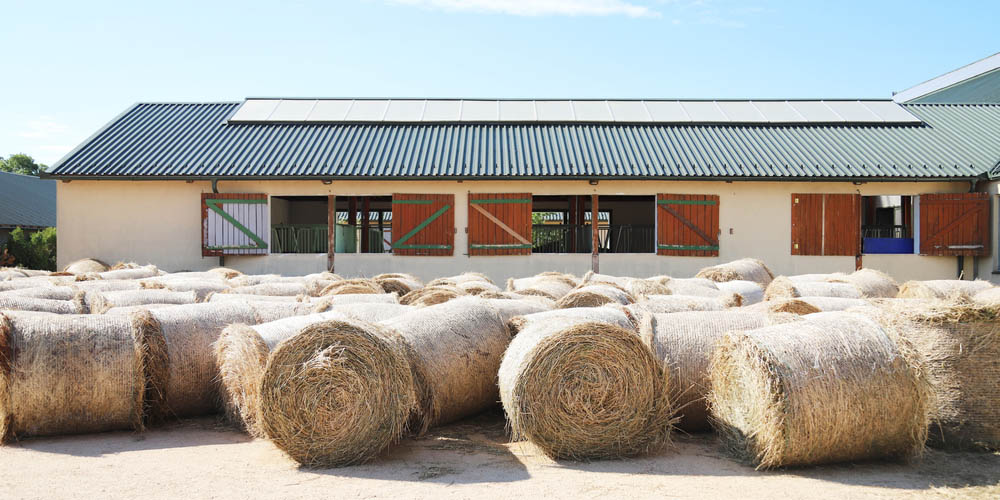 découvrez notre manège équestre photovoltaïque, une installation innovante qui allie passion pour l'équitation et respect de l'environnement. profitez d'un espace de sport et de loisir équestre éclairé de manière durable grâce à l'énergie solaire.