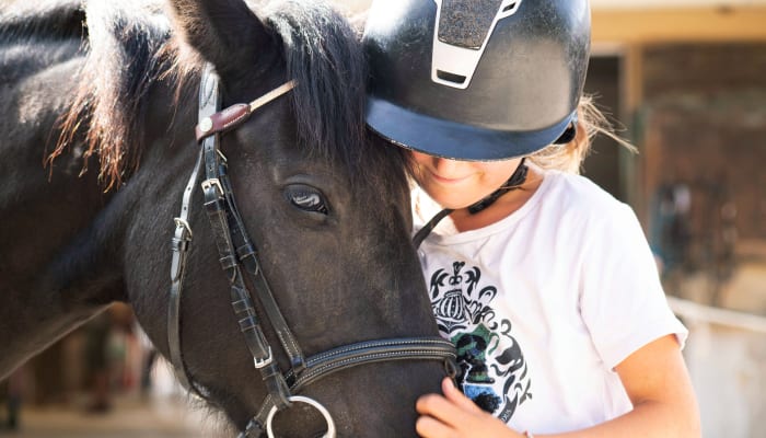 découvrez notre manège équestre gratuit, un espace idéal pour les passionnés de chevaux et les amateurs de balades. profitez d'activités équestres variées, rencontrez d'autres amoureux des chevaux et vivez des moments inoubliables dans un cadre accueillant.