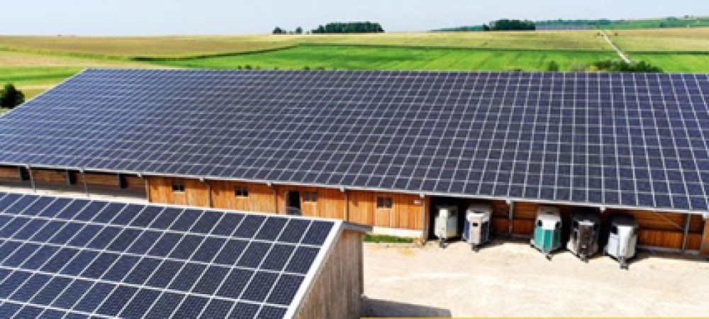 découvrez notre manège équestre solaire, un espace innovant et respectueux de l'environnement où passionnés de chevaux et d'équitation se retrouvent. profitez des bienfaits d'une lumière naturelle et d'équipements écologiques tout en pratiquant votre sport favori. rejoignez-nous pour vivre une expérience unique au cœur de la nature.