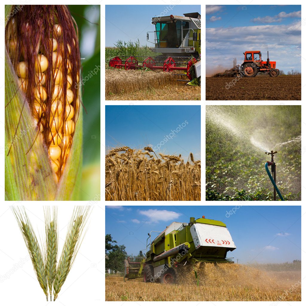 découvrez le métier de monteur agricole, un professionnel clé dans l'assemblage et la maintenance des machines et équipements agricoles. apprenez les compétences requises, les formations disponibles et les opportunités d'emploi dans ce secteur en pleine évolution.