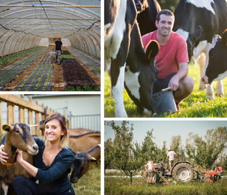 découvrez le métier de monteur agricole, un professionnel essentiel dans le secteur de l'agriculture, chargé de monter, entretenir et réparer les machines et équipements agricoles pour assurer leur bon fonctionnement et optimiser la production.