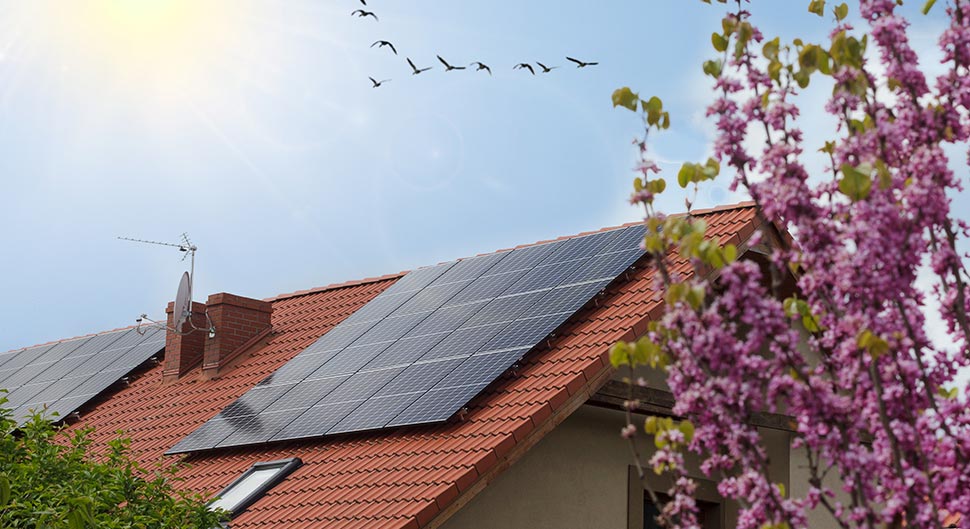 découvrez tout ce qu'il faut savoir sur le nombre de panneaux solaires nécessaires pour optimiser votre production d'énergie. apprenez à évaluer vos besoins en électricité et à choisir le bon nombre de panneaux solaires pour un investissement durable et rentable.