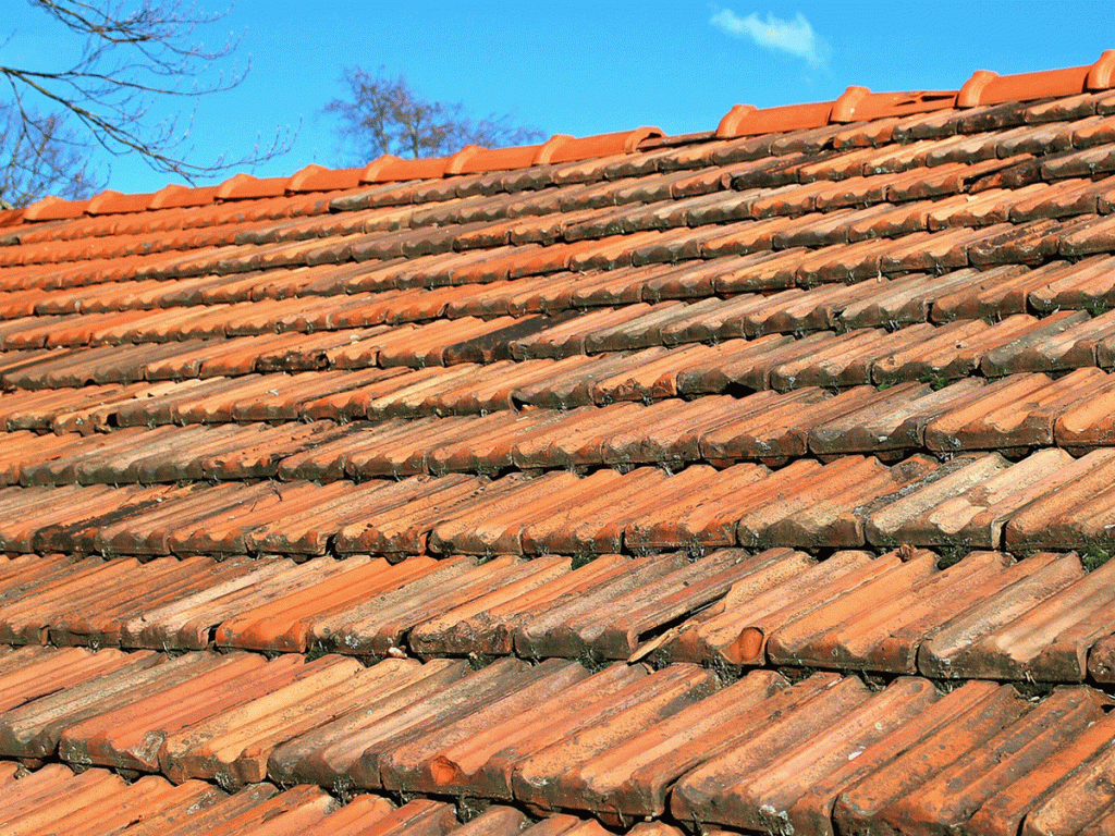 découvrez tout sur la toiture nord : types, matériaux, avantages et conseils d'installation pour protéger efficacement votre maison des intempéries.