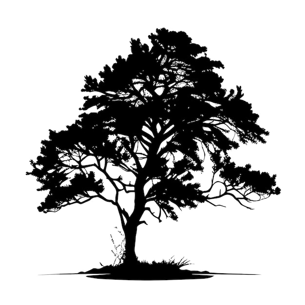découvrez la magie de l'ombre d'un arbre, un refuge apaisant offrant fraîcheur et tranquillité lors des journées ensoleillées. plongez dans cet espace naturel où la lumière danse à travers les feuilles, créant un séjour idéal pour la lecture, la méditation ou le simple relâchement. l'ombre d'un arbre, un véritable havre de paix.