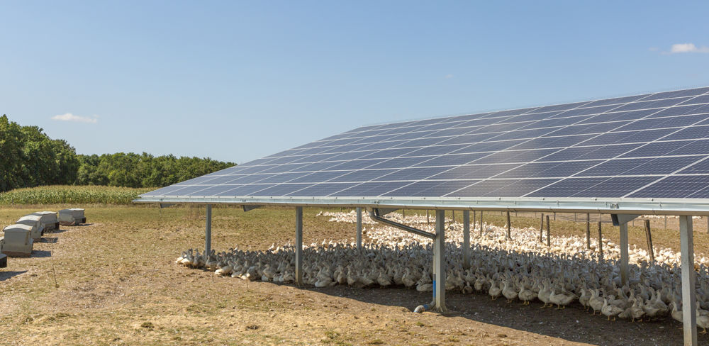 découvrez nos ombrières agricoles, conçues pour protéger vos cultures des intempéries tout en optimisant leur croissance. nos solutions innovantes offrent une durabilité exceptionnelle et s'intègrent parfaitement dans votre exploitation.