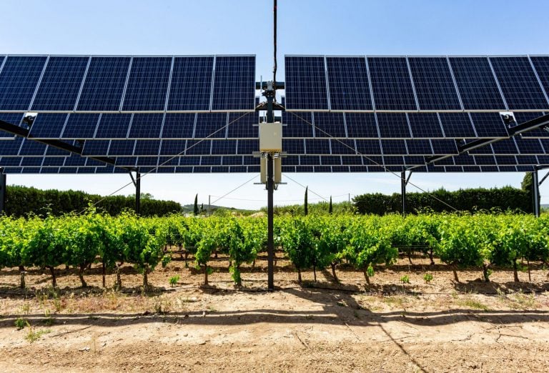 découvrez les avantages des ombrières agricoles : protection optimale pour vos cultures, réduction des stresses climatiques et amélioration des rendements. explorez notre gamme de solutions innovantes adaptées à vos besoins agricoles.