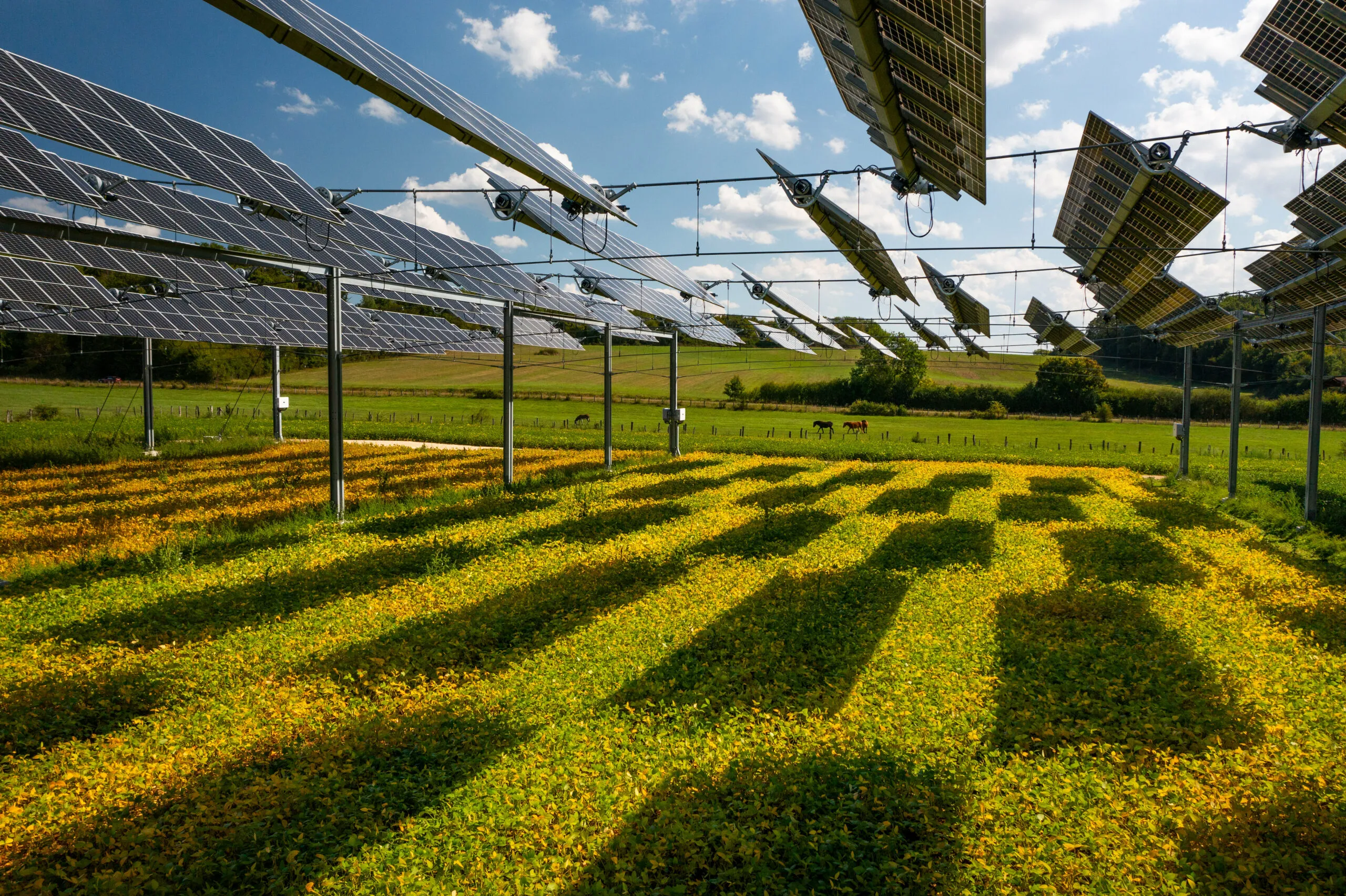 découvrez les avantages des ombrières agricoles, une solution innovante pour protéger vos cultures tout en optimisant l'ensoleillement. idéales pour améliorer le rendement agricole, elles offrent à la fois ombre et protection contre les intempéries, garantissant la santé de vos plantes.
