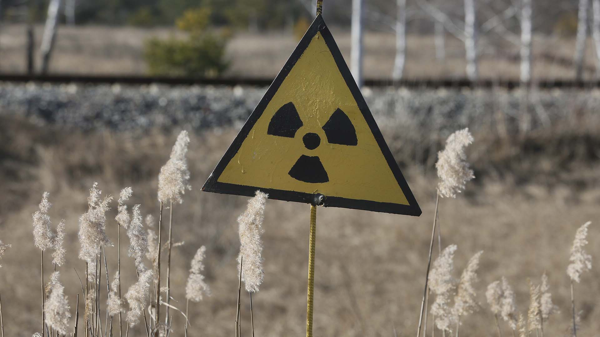découvrez tout sur le panneau nucl, une solution innovante pour la gestion de l'énergie nucléaire. informez-vous sur ses avantages, ses applications et son impact sur l'environnement.