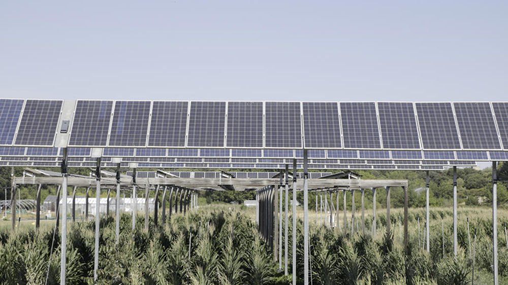 découvrez les avantages des panneaux solaires agricoles pour optimiser votre production tout en réduisant votre empreinte carbone. transformez vos exploitations avec des solutions énergétiques durables et rentables.