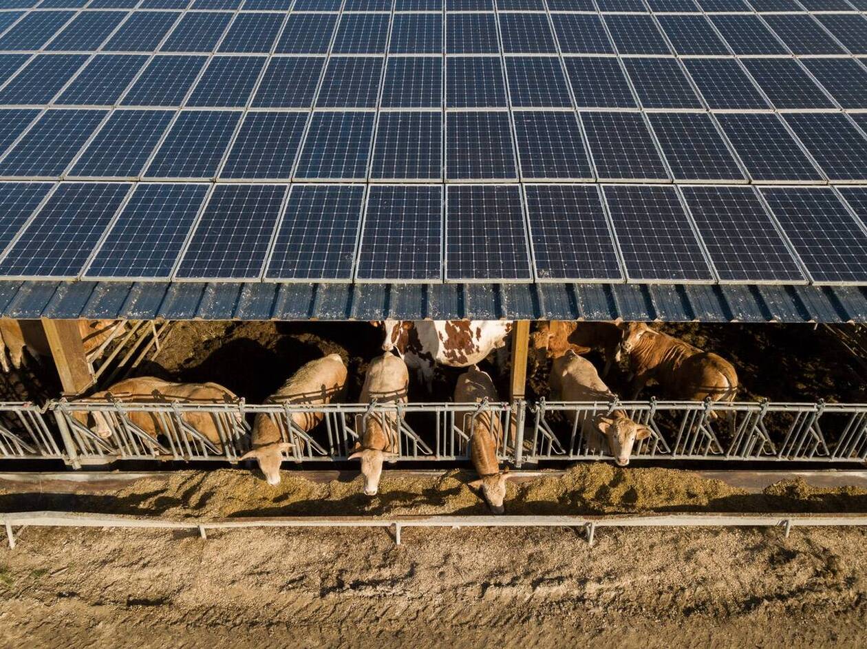 découvrez comment les panneaux solaires agricoles transforment l'énergie dans le secteur de l'agriculture. optimisez votre production, réduisez vos coûts et adoptez une approche durable grâce à cette technologie innovante.