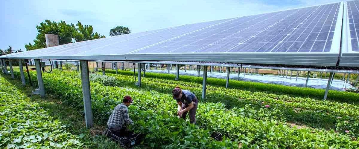 découvrez les avantages des panneaux solaires agricoles, une solution durable pour optimiser la production énergétique des exploitations agricoles tout en respectant l'environnement. transformez votre ferme en un modèle d'efficacité énergétique avec des technologies solaires adaptées à vos besoins.
