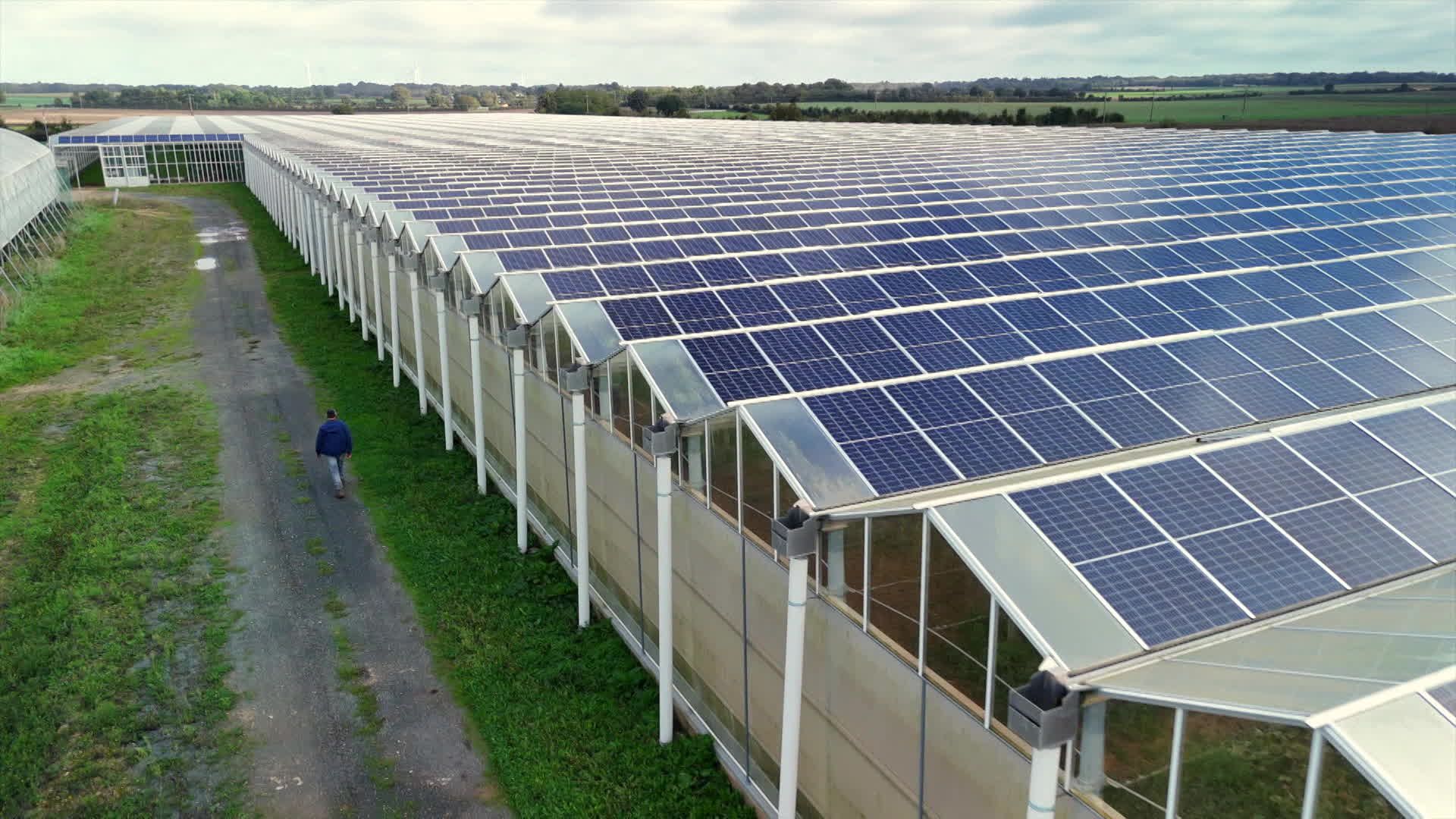découvrez comment les panneaux solaires agricoles peuvent transformer votre exploitation en une source d'énergie renouvelable, réduire vos coûts et favoriser une agriculture durable.