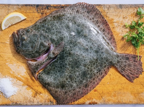découvrez notre programme de parrainage poissons et bénéficiez d'avantages exclusifs tout en partageant votre passion pour l'aquariophilie. rejoignez une communauté engagée et faites grandir vos aquariums avec nos conseils et astuces tout en récompensant vos amis.
