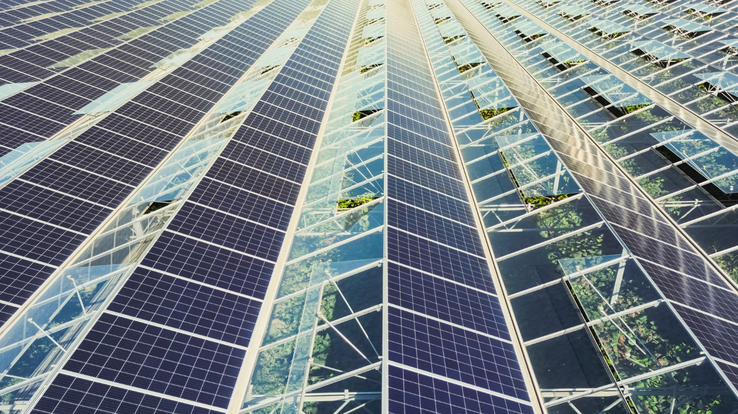 découvrez les avantages du photovoltaïque grâce à notre guide complet. apprenez comment l'énergie solaire peut réduire vos factures d'électricité, contribuant à une transition énergétique durable tout en préservant l'environnement.