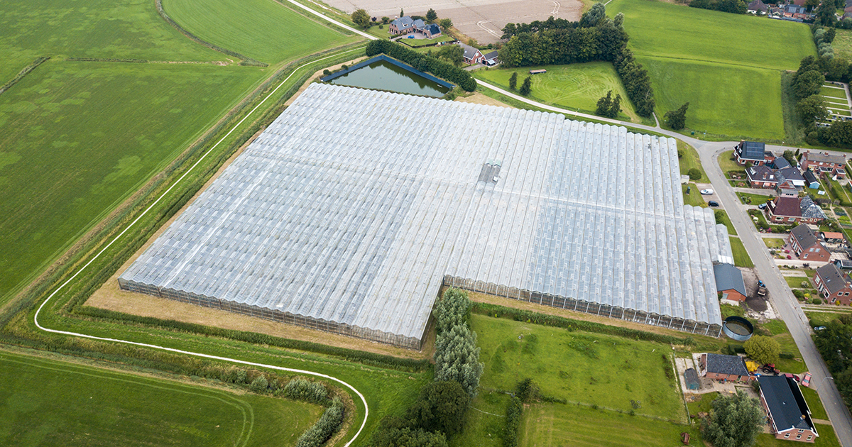 découvrez comment le photovoltaïque agricole transforme l'agriculture durable en produisant de l'énergie propre tout en maximisant les rendements des cultures. optimisez vos terres et réduisez vos coûts énergétiques grâce à des solutions innovantes adaptées aux exploitations agricoles.