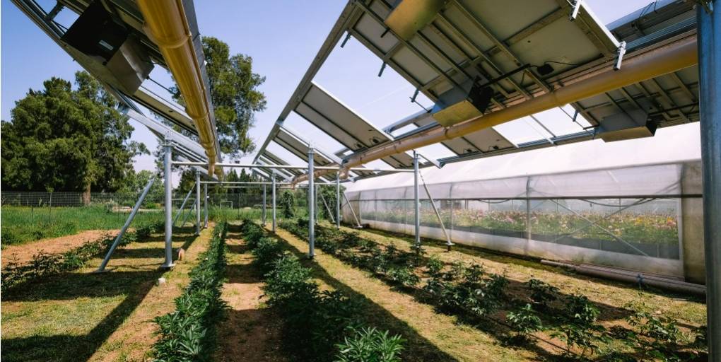 découvrez les avantages du photovoltaïque agricole, une solution durable et rentable pour les exploitations agricoles. optimisez votre production tout en contribuant à la transition énergétique grâce à l'énergie solaire.