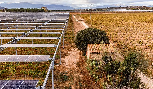 découvrez les avantages du photovoltaïque agricole, une solution durable pour maximiser les rendements de vos exploitations tout en réduisant votre empreinte carbone. explorez comment l'énergie solaire peut transformer votre agriculture en une activité plus rentable et respectueuse de l'environnement.