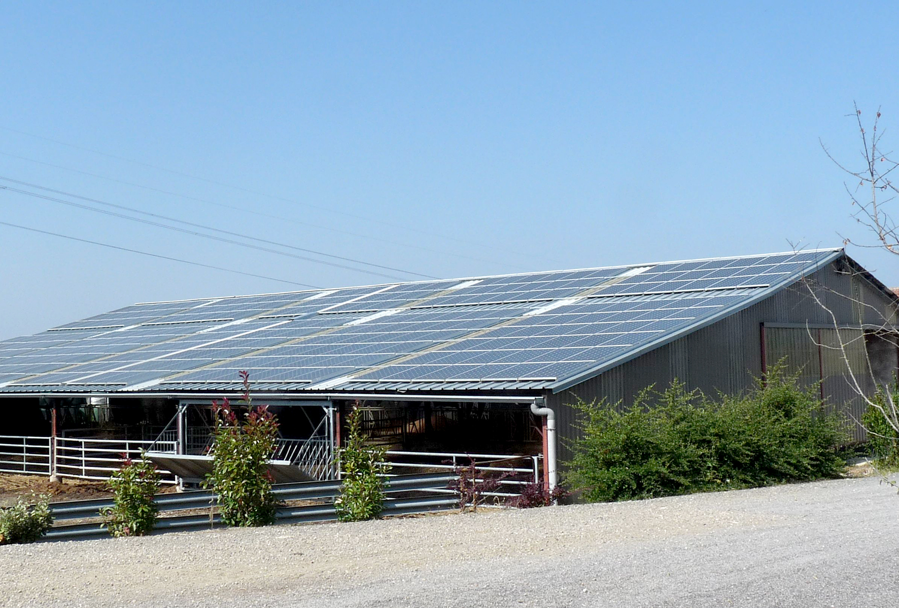 découvrez comment le photovoltaïque agricole transforme les exploitations en alliant rentabilité et durabilité. optimisez votre production tout en contribuant à la transition énergétique grâce à des solutions solaires adaptées aux besoins des agriculteurs.