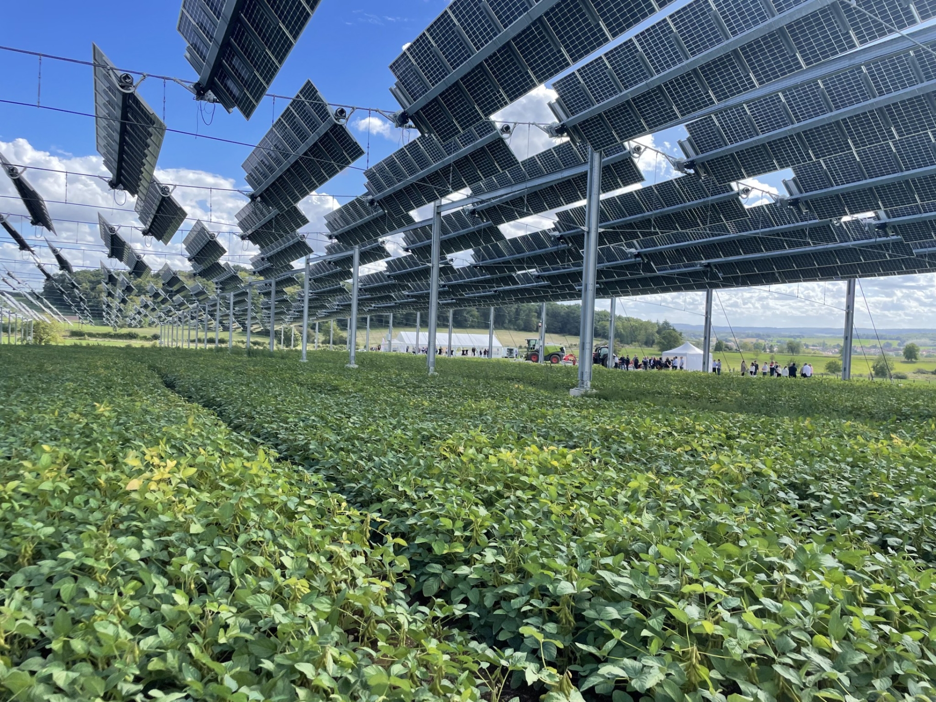 découvrez comment l'énergie photovoltaïque agricole transforme les exploitations en source de revenus durable et optimise la consommation énergétique. explorez les avantages du solaire pour l'agriculture et contribuez à un avenir plus vert.