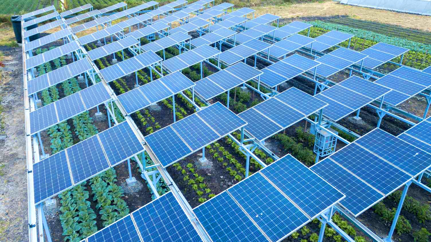 découvrez comment les panneaux solaires agricoles transforment l'agriculture en offrant une source d'énergie durable et en réduisant les coûts d'exploitation. explorez les avantages de cette technologie pour les agriculteurs et l'environnement.
