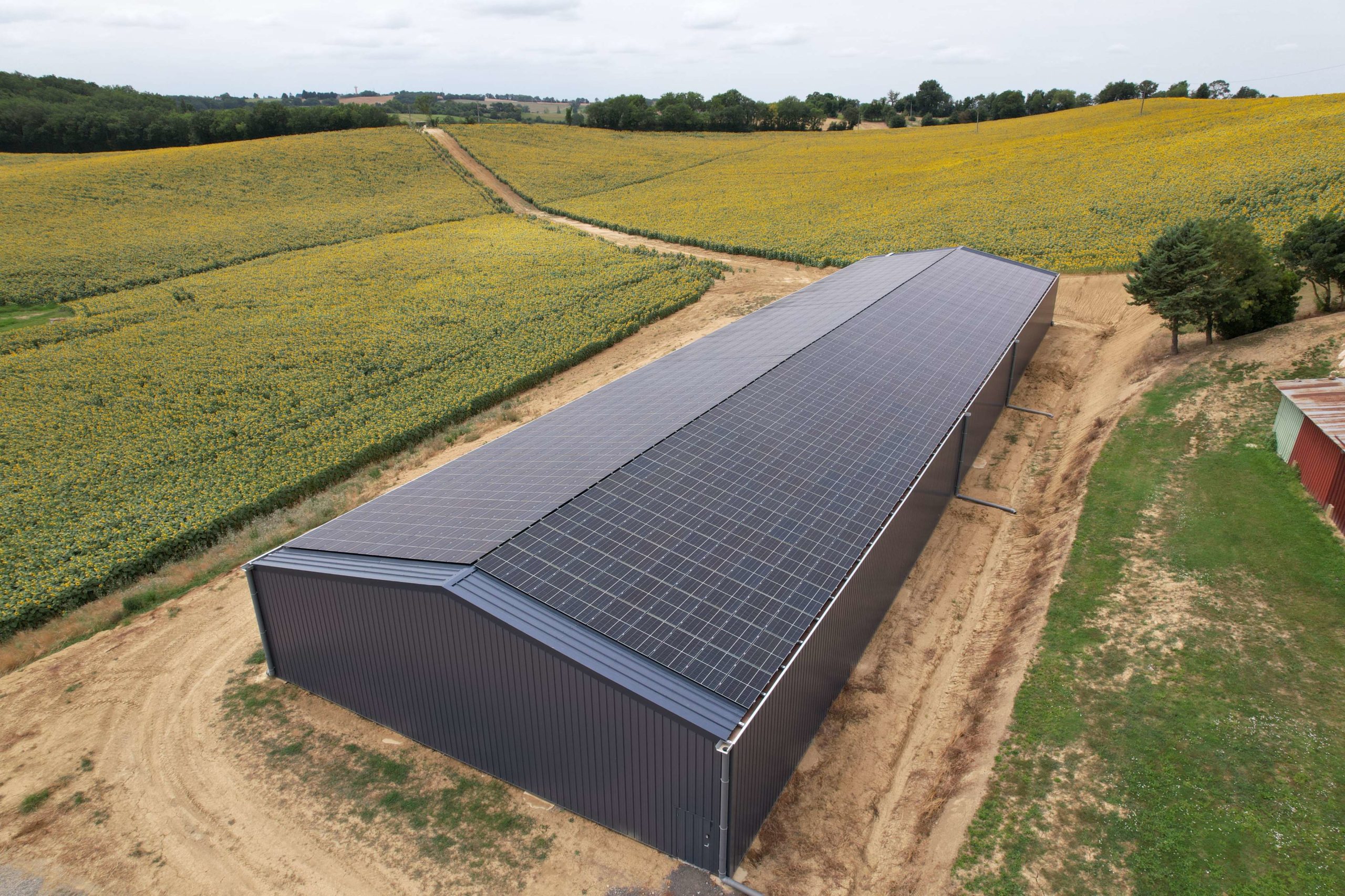 découvrez comment l'énergie photovoltaïque peut transformer le secteur agricole. optimisez vos rendements tout en réduisant vos coûts énergétiques grâce à des solutions solaires adaptées à vos besoins. informez-vous sur les avantages environnementaux et économiques du photovoltaïque agricole.