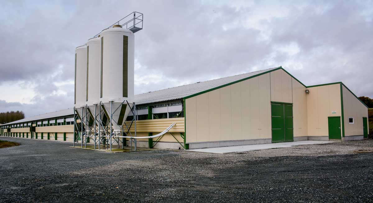 découvrez notre poulailler agricole, conçu pour assurer le bien-être de vos volailles tout en optimisant la production d'œufs. fabriqué avec des matériaux durables, il offre un espace sécurisé et confortable pour vos poules. idéal pour les agriculteurs soucieux de la qualité et de l'efficacité.
