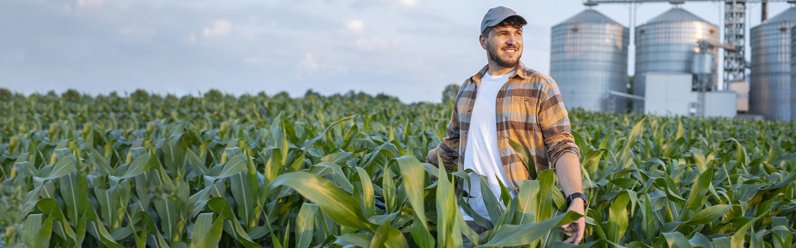 découvrez les prix compétitifs des assurances pour bâtiments agricoles. protégez votre exploitation en choisissant une couverture adaptée à vos besoins spécifiques et bénéficiez de conseils d'experts pour une sécurité optimale.