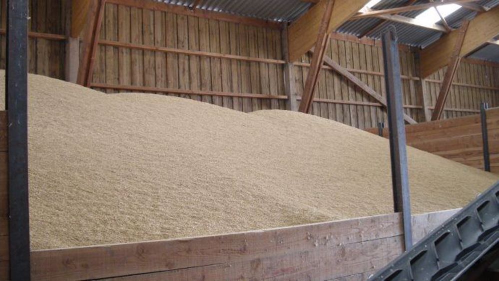 découvrez les prix compétitifs pour le stockage des céréales et optimisez votre gestion agricole. profitez de solutions adaptées à vos besoins pour garantir la qualité et la sécurité de vos récoltes.