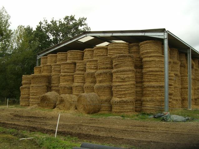 découvrez les prix des hangars sur le marché. comparez les offres pour trouver la solution de stockage qui répond à vos besoins tout en respectant votre budget.