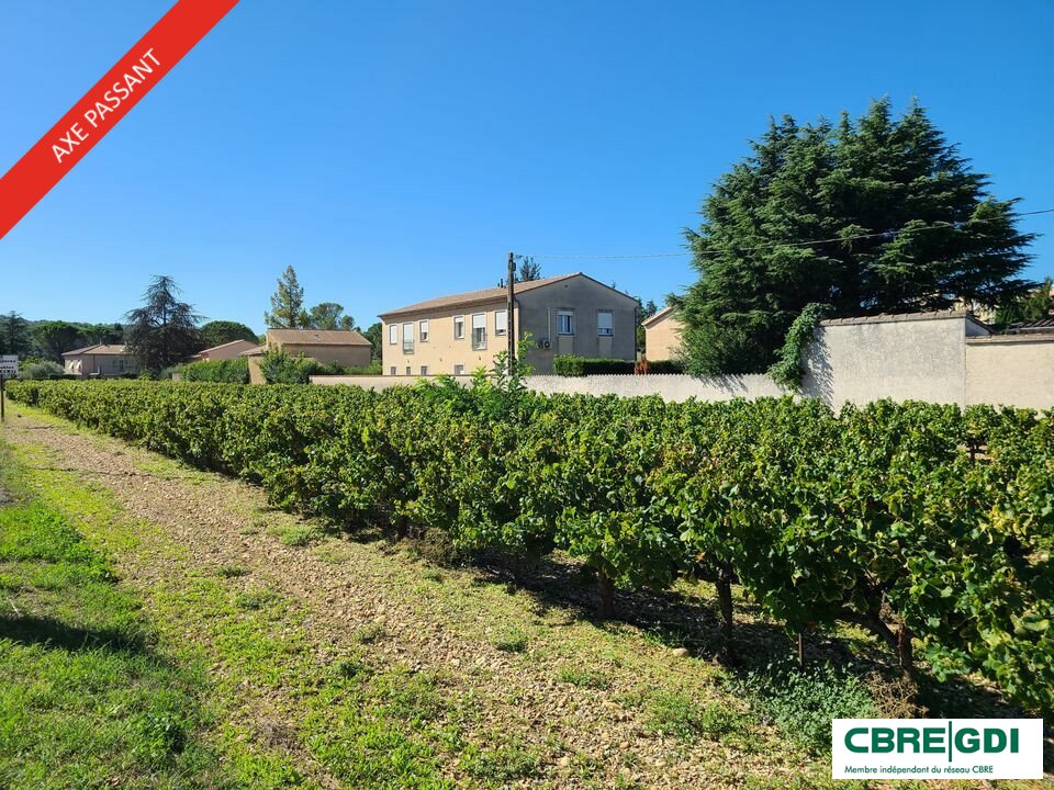 découvrez les prix de location des terres agricoles dans le vaucluse. profitez d'une analyse détaillée des tarifs par hectare, des conseils pour optimiser votre investissement agricole et des tendances du marché pour 2023.