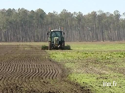 découvrez les prix de la location de terre agricole dans le vaucluse. profitez d'informations détaillées sur les tarifs, les opportunités et les conseils pour louer des terres agricoles dans cette région riche en potentiel.