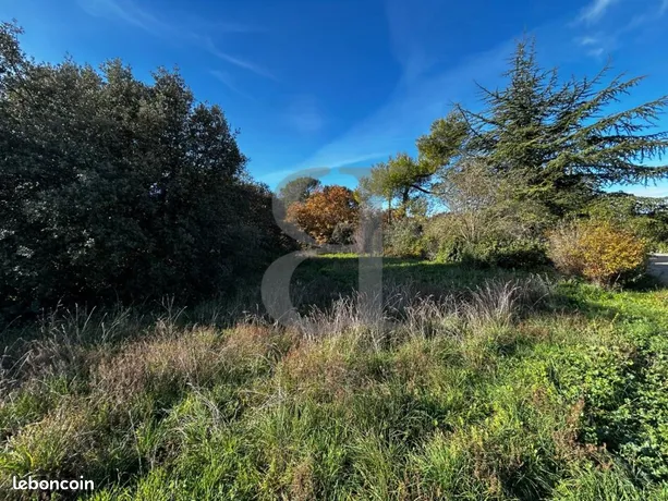 découvrez les tarifs de location de terres agricoles dans le vaucluse. informez-vous sur les différentes options disponibles, les coûts associés et les opportunités d'investissement dans cette région viticole riche en agriculture.