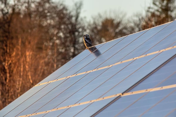 découvrez les prix des panneaux solaires de 9 kw et les avantages de cette solution énergétique pour réduire vos factures d'électricité et contribuer à un avenir durable.