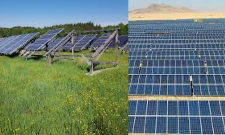 découvrez les prix des panneaux solaires en algérie et trouvez des solutions économiques pour votre énergie renouvelable. comparez les offres et faites le meilleur choix pour réduire vos factures d'électricité.