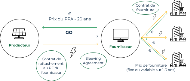 découvrez tout ce qu'il faut savoir sur les prix ppa (prix de production agricole) et comment ils influencent le marché. obtenez des informations actuelles, des analyses de tendances et des conseils pour optimiser vos investissements dans le secteur agricole.
