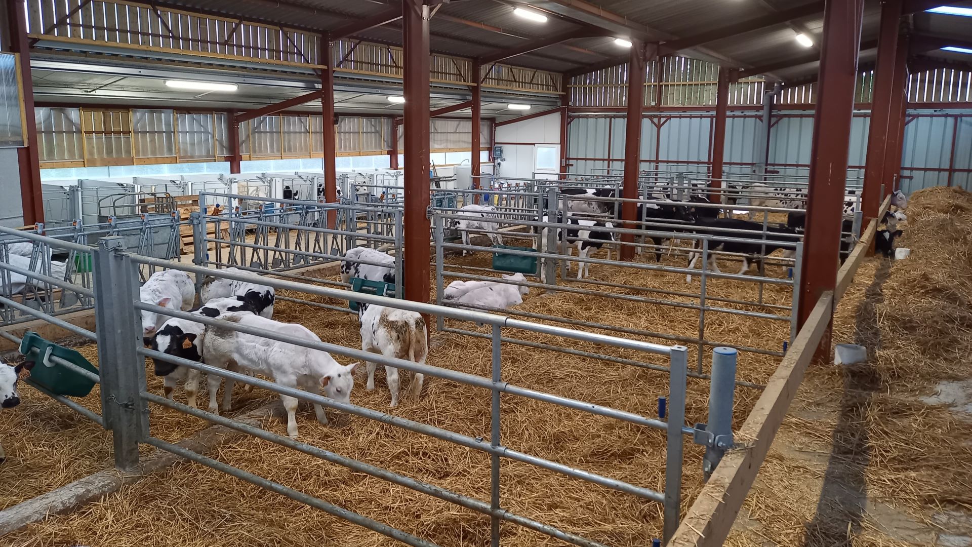 découvrez tout ce qu'il faut savoir sur les prix de la stabulation agricole. obtenez des informations détaillées sur les coûts, les tendances du marché et les solutions adaptées à vos besoins d'élevage.