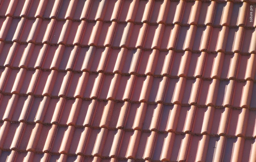 découvrez les prix des tuiles photovoltaïques pour une surface de 10 m². comparez les différentes options et choisissez la solution idéale pour votre projet d'énergie renouvelable.