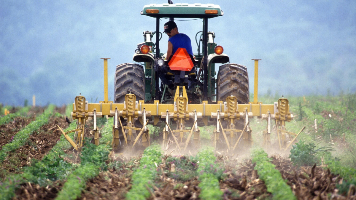 découvrez le monde passionnant de l'agriculture avec notre article sur les agriculteurs. apprenez-en plus sur leur rôle essentiel dans la production alimentaire, les défis qu'ils rencontrent et les innovations qui transforment leur métier.