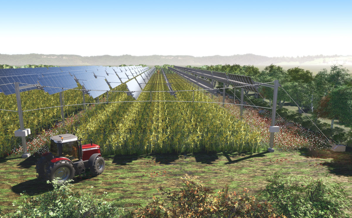 découvrez le potentiel des paysages agricoles avec notre guide sur les propriétés viticoles. explorez les techniques, les tendances et les opportunités pour investir dans le secteur agricole tout en préservant l'environnement.