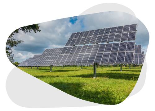 découvrez tout ce qu'il faut savoir sur le pv agricole : enjeux, avantages et mise en œuvre pour une agriculture durable. informez-vous sur les meilleures pratiques et les solutions innovantes pour optimiser votre production tout en respectant l'environnement.