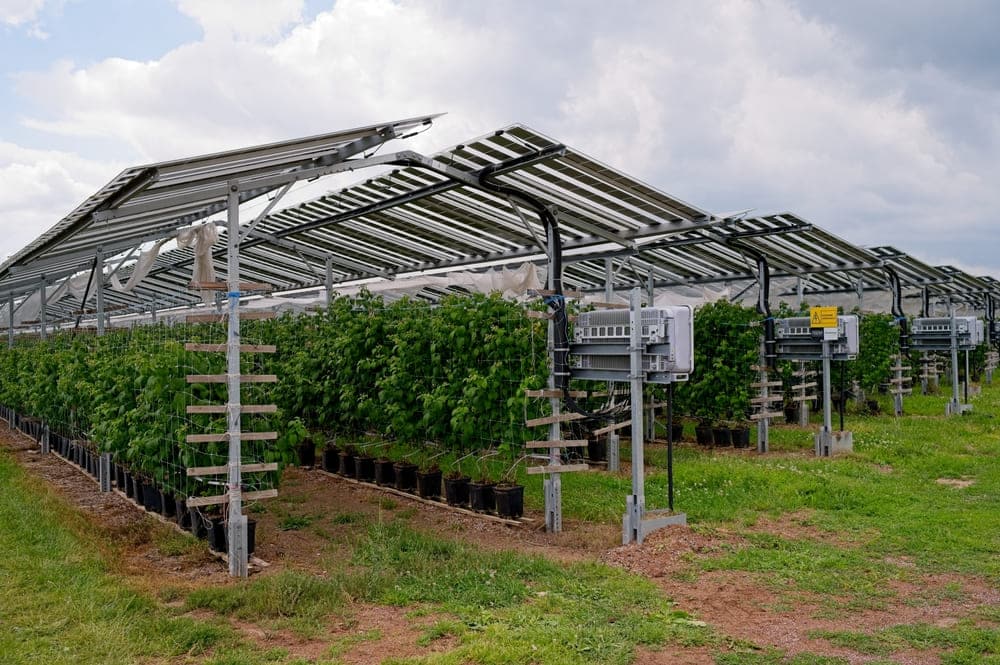 découvrez tout ce qu'il faut savoir sur le pv agricole, une solution innovante pour optimiser la production et la rentabilité des exploitations agricoles tout en respectant l'environnement. informez-vous sur les avantages, les installations et les opportunités offertes par l'énergie solaire dans le secteur agricole.
