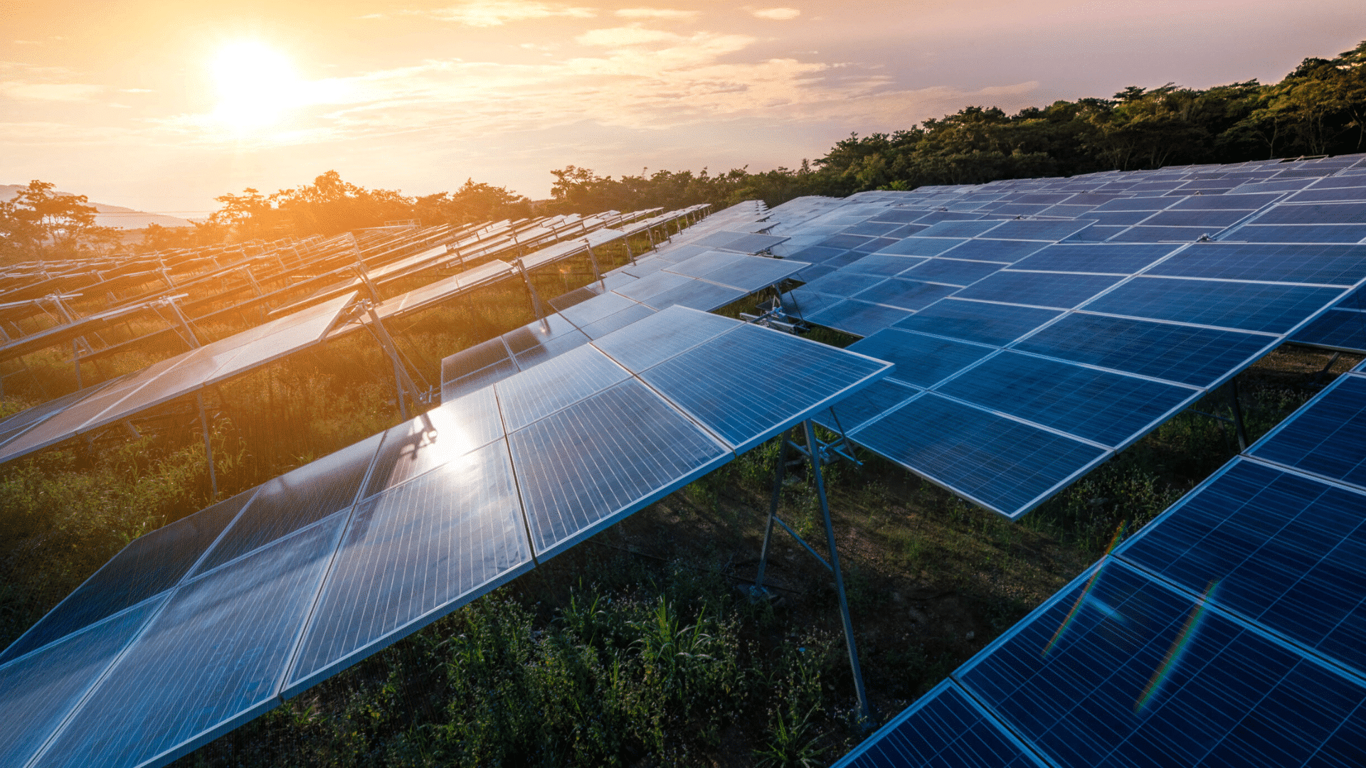 découvrez comment la qualité des panneaux solaires peut transformer votre approche de l'énergie renouvelable. apprenez à choisir des panneaux performants et durables pour maximiser votre investissement énergétique.