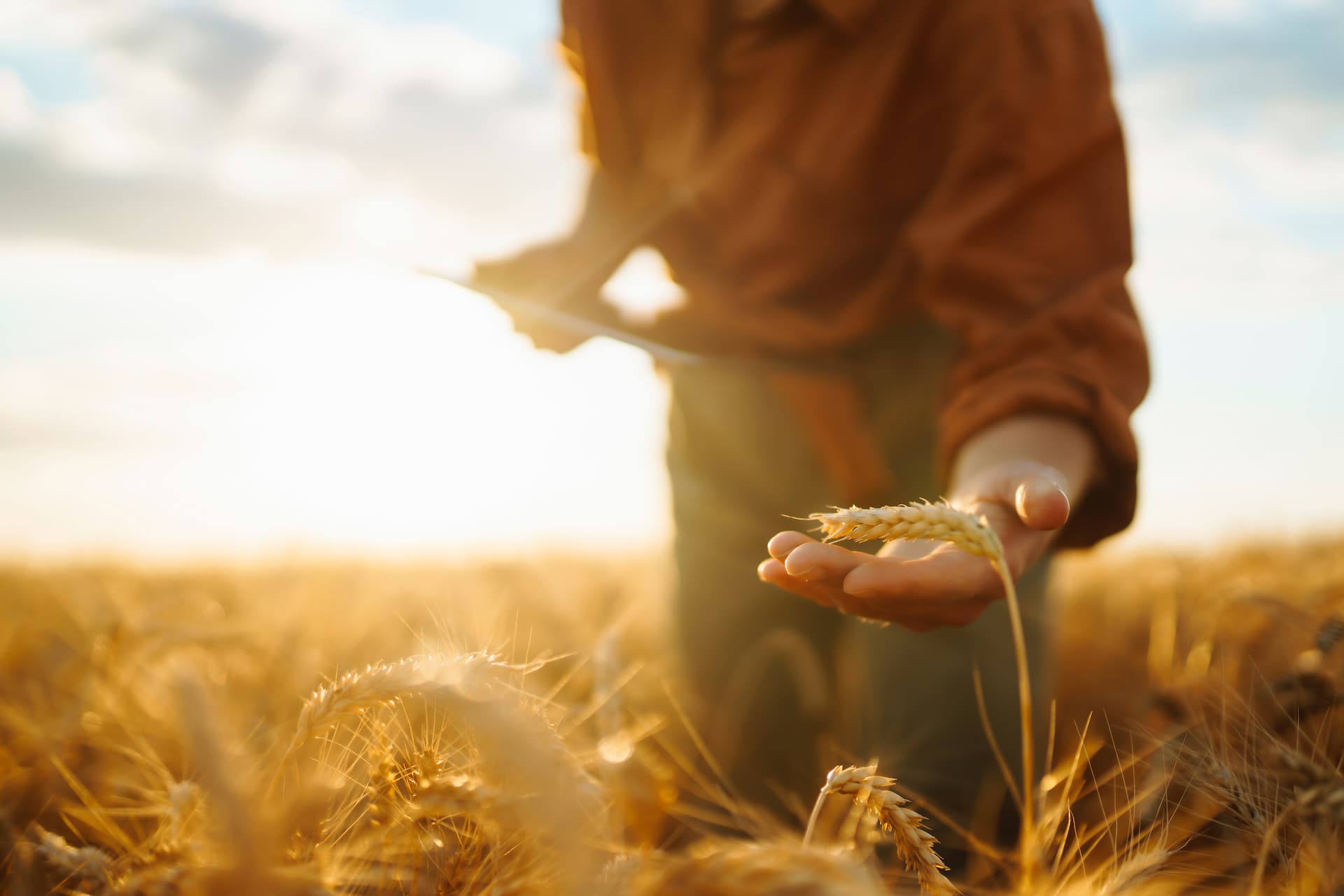 découvrez les tendances actuelles des prix au mètre carré des terrains agricoles en france. informez-vous sur les facteurs influençant ces prix et trouvez des conseils pour des investissements judicieux dans l'immobilier agricole.