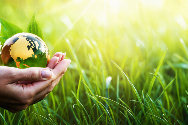 découvrez l'importance du recyclage pour l'environnement et la durabilité. apprenez des astuces pratiques pour réduire vos déchets et participer activement à la préservation de notre planète.