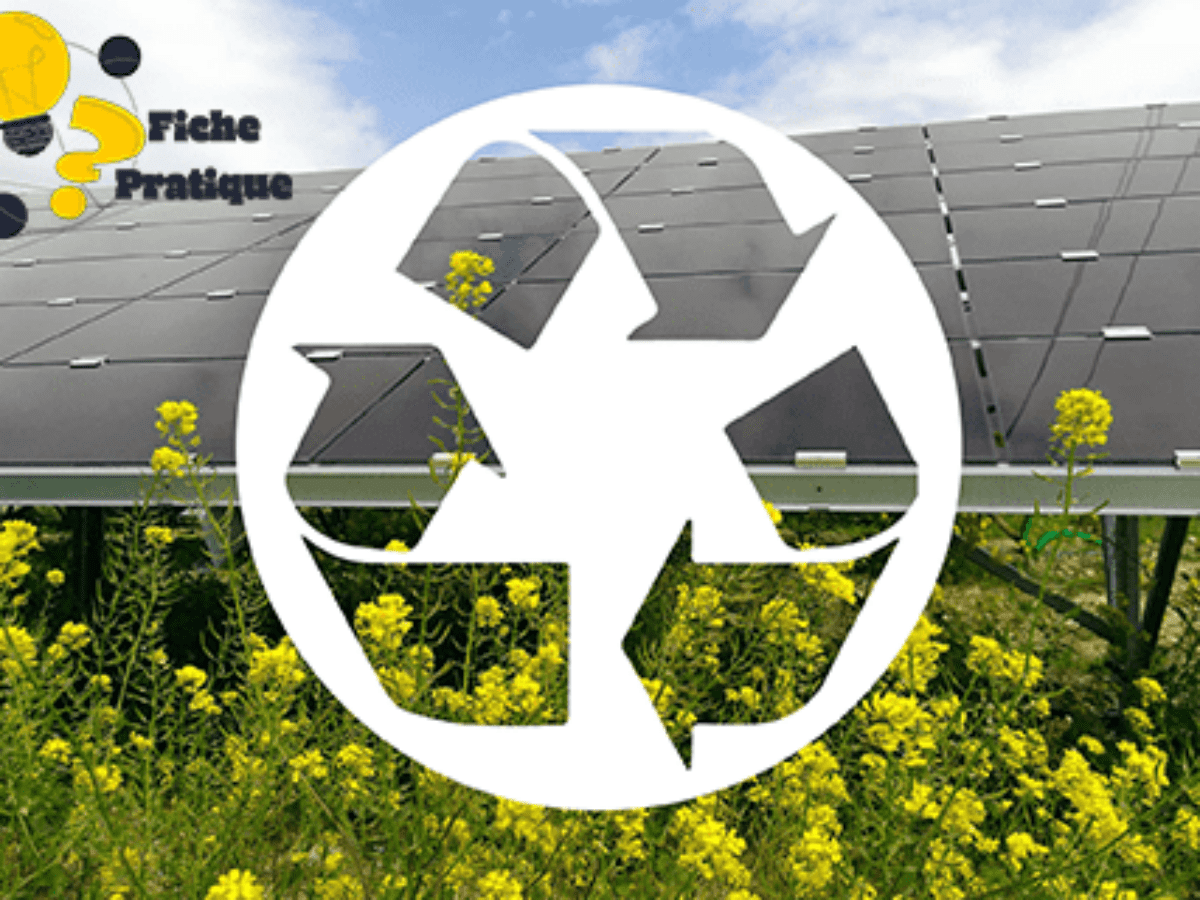 découvrez comment le recyclage des panneaux solaires contribue à une planète plus verte et à une économie circulaire. apprenez-en plus sur les méthodes de recyclage, les enjeux environnementaux et les bénéfices pour l'avenir durable de l'énergie renouvelable.